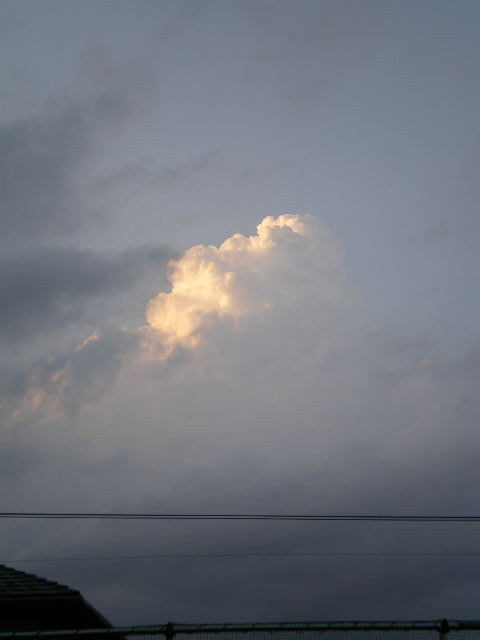 ２５日積乱雲.jpg